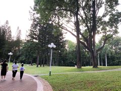 -人民公园(罗湖区)