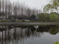 -泰州凤城河风景区-泰山公园