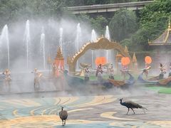 -西双版纳原始森林公园