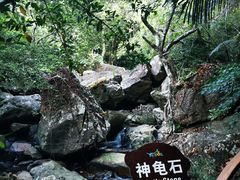 -呀诺达热带雨林