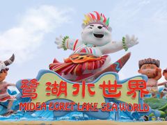 -美的鹭湖探索王国