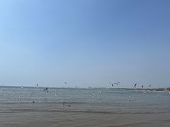 -老虎石海上公园