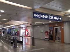 -厦门高崎国际机场-T3航站楼