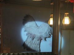 -东方红·湖南菜(金屿店)