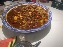-新概念来凤鱼(璧山店)
