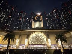 -影汇之星8字形摩天轮
