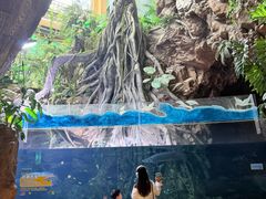 -南昌融创海世界