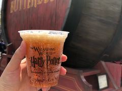 -哈利波特魔法世界