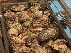 -榕树下海鲜楼(开元店)