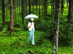 -硗碛藏寨·神木垒景区