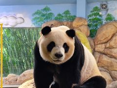 -广州长隆野生动物世界