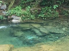 -雅鲁激流探险漂流