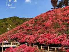 -木兰云雾山