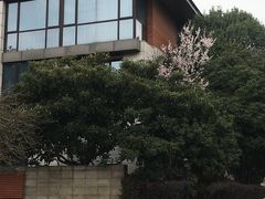 -鹏欣·一品漫城1期