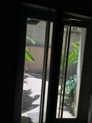 -半岛故事·法儿曼抗衰·indiba中心