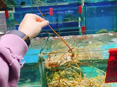 -海大大蒸汽海鲜餐厅·粤菜·特色小炒(欢乐颂店)
