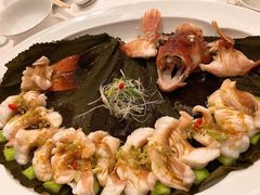 清蒸东星斑-宝丽轩中餐厅BAOLIXUAN