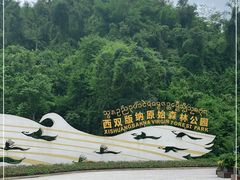 -西双版纳原始森林公园