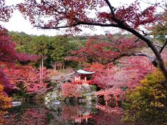 -醍醐寺