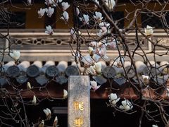 -龙华寺