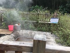 -天芳悦潭度假村温泉