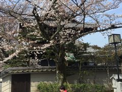 -京都冈本和服体验租赁店(祗园店)