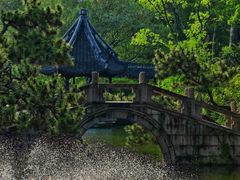 -上海醉白池公园