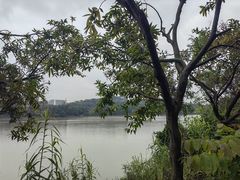 -广东花都湖国家湿地公园