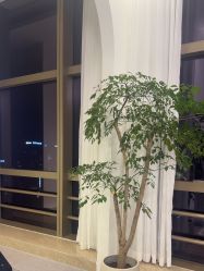 点击看大图 -JNK皮肤管理中心