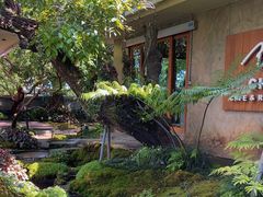 -Chom Cafe and Restaurant