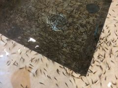 -中家鑫园温泉酒店鑫悦汤泉