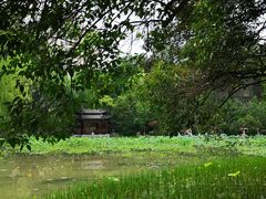 -莲湖公园