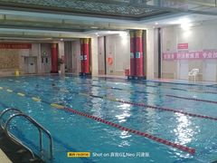 -飞鲨游泳培训学校