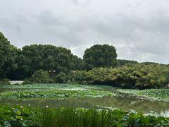 -河南省黄河迎宾馆