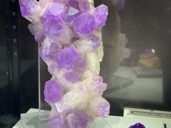 -中国地质大学逸夫博物馆