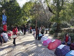 -人民公园-相亲角