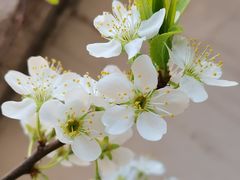 -天津东丽湖风景区