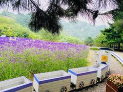 -云峰山自然风景区