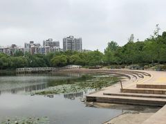 -新江湾城公园
