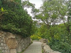 -北京凤凰岭