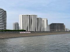 -碧海金沙