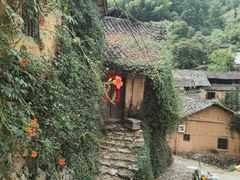 -杨家堂村