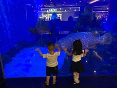 -成都浩海立方海洋公园