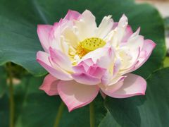 -南戴河国际娱乐中心