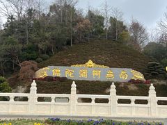 -庐山风景名胜区-东林大佛
