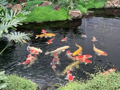 -罗红摄影艺术馆