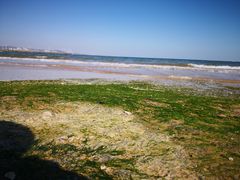 -日照灯塔风景区