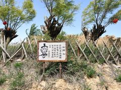 -水洞沟旅游区