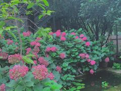 -谷咖啡·鲜花绿植花园餐厅