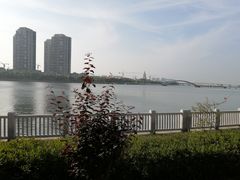 -五缘湾湿地公园
